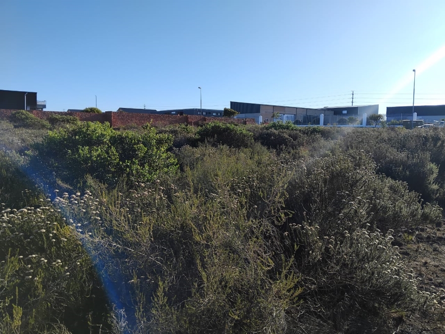 0 Bedroom Property for Sale in Fountains Estate Eastern Cape